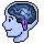 Il Cervello
