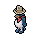 Cowboy Penguin
