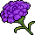 Purple Rose Badge
