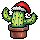 Christmas '22 with Cactier
