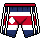 Costa Rican Football Shorts
