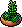 Green Succulent Plant