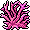 Pink Staghorn Coral