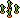 Sprouting Plants