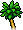 Palm Tree