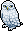 Snowy Owl